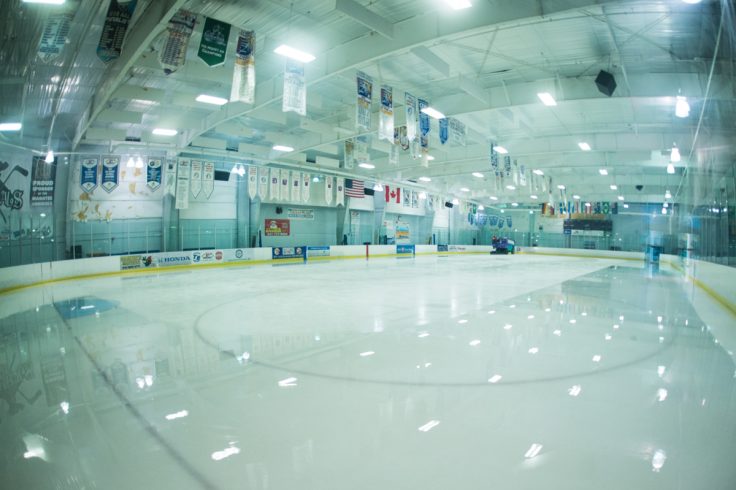 Ellenton Ice and Sports Complex