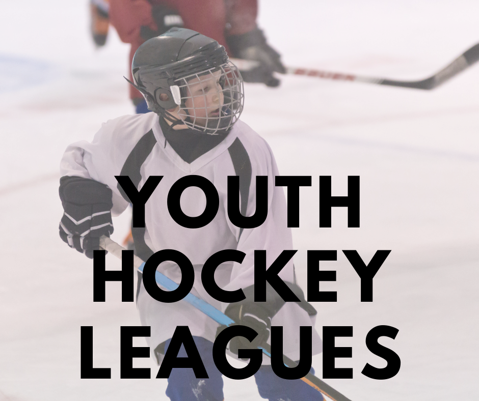 Hockey – Ellenton Ice and Sports Complex